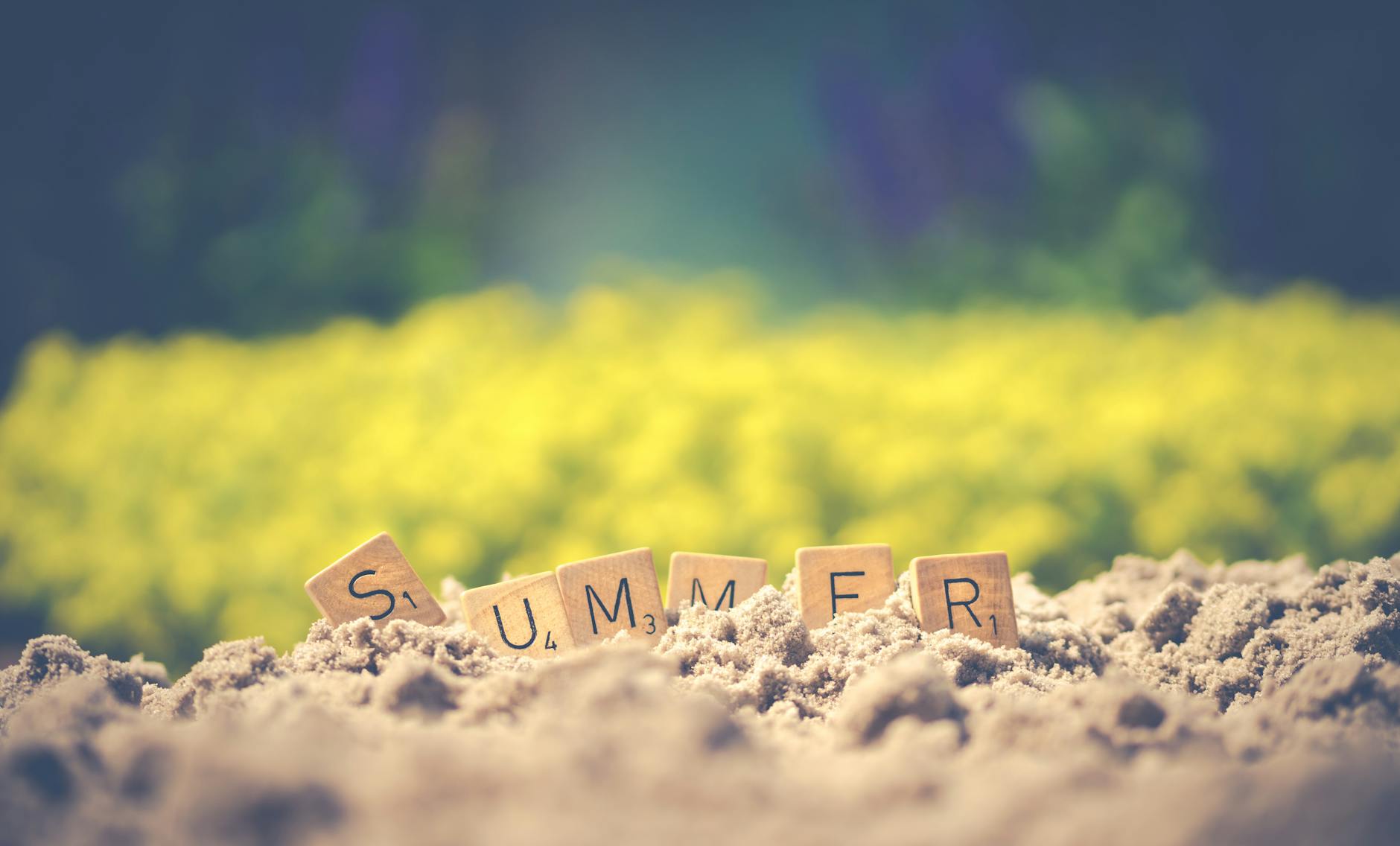 Missed Your Summer EC Plans? It’s Not Over Yet — Let’s Talk Alternatives.